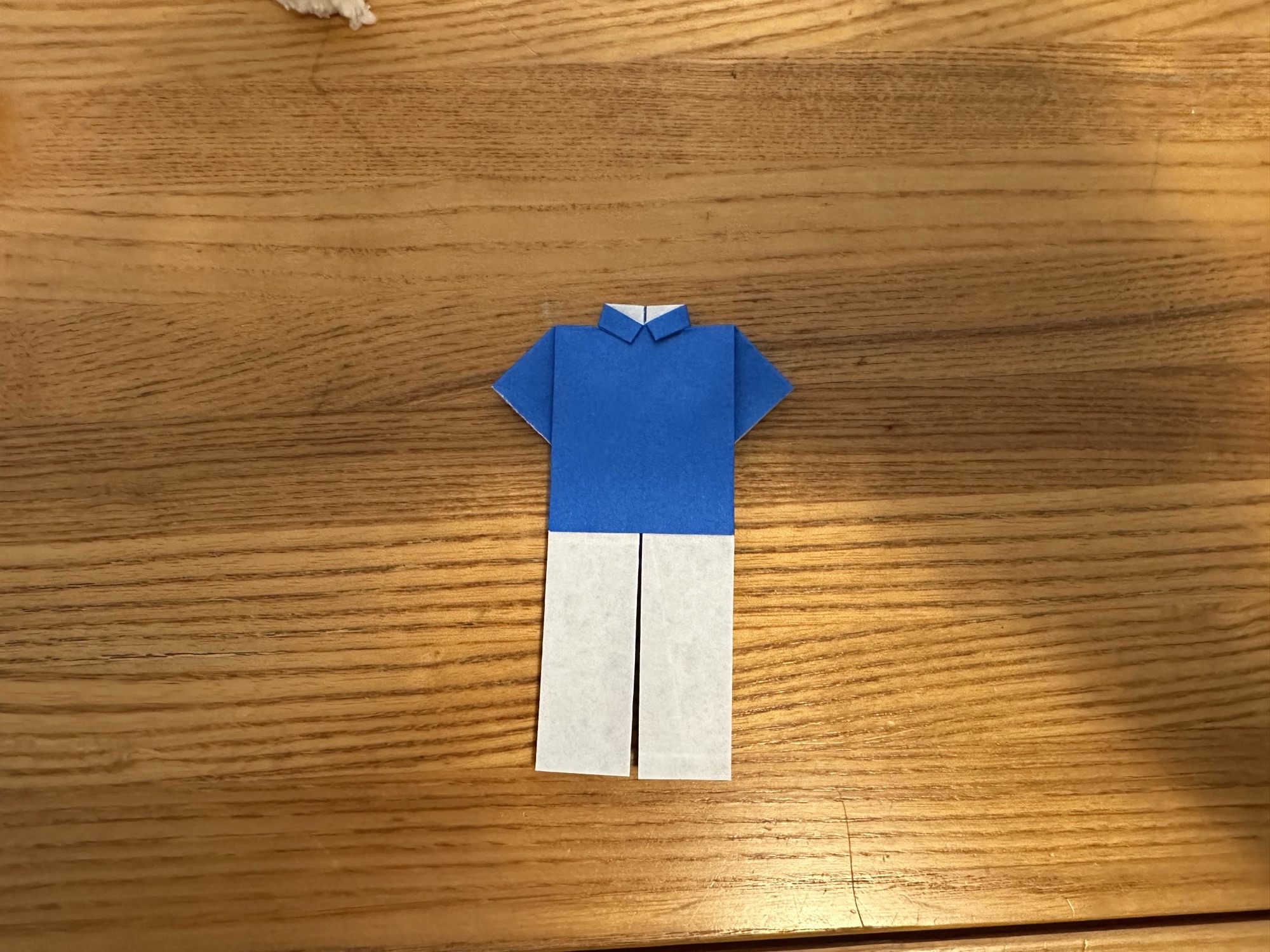 Origami pants finished model