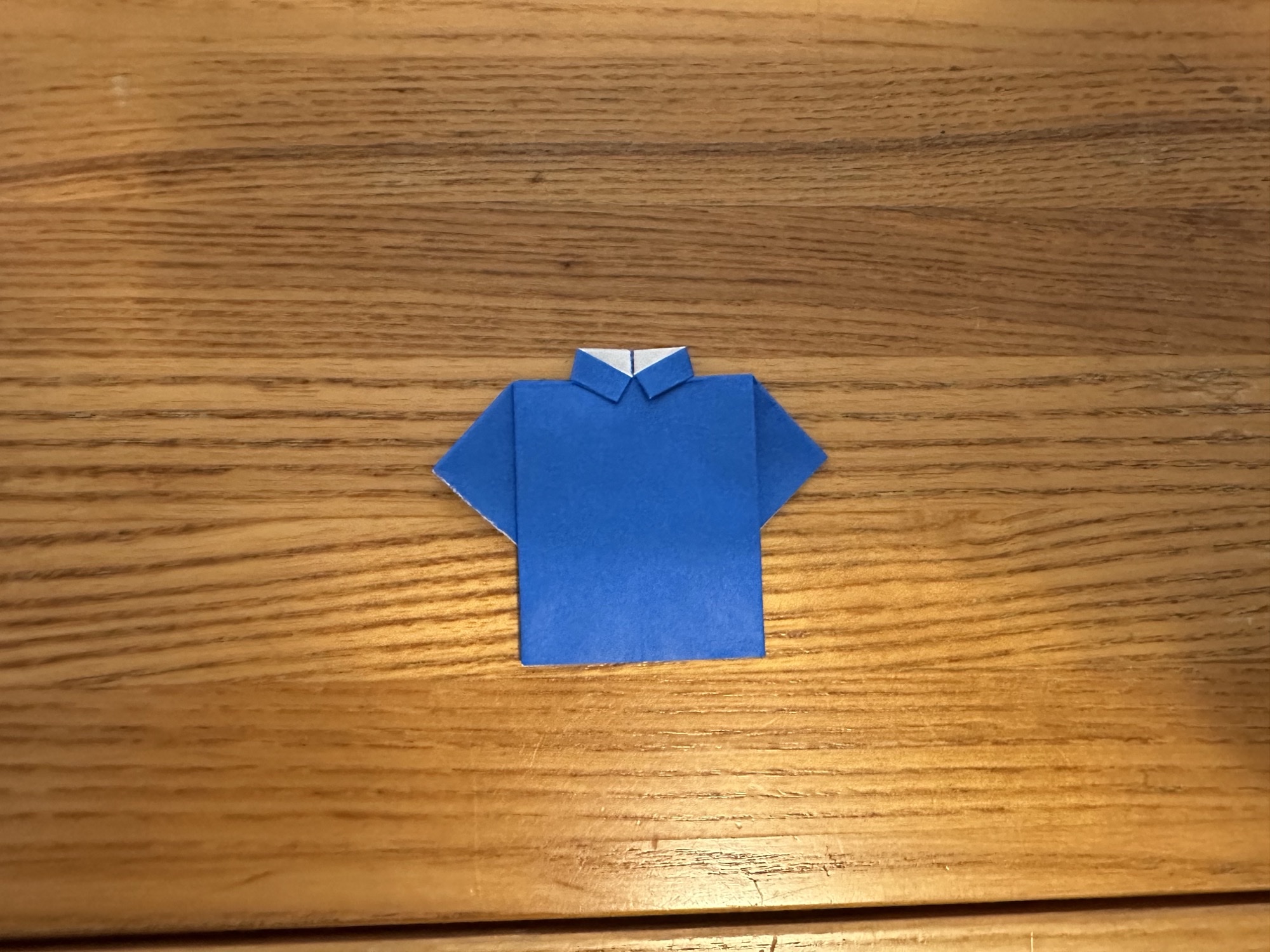 Origami shirt finished model
